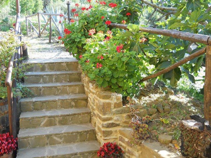 Casale San Martino Laureana Cilento Exterior foto