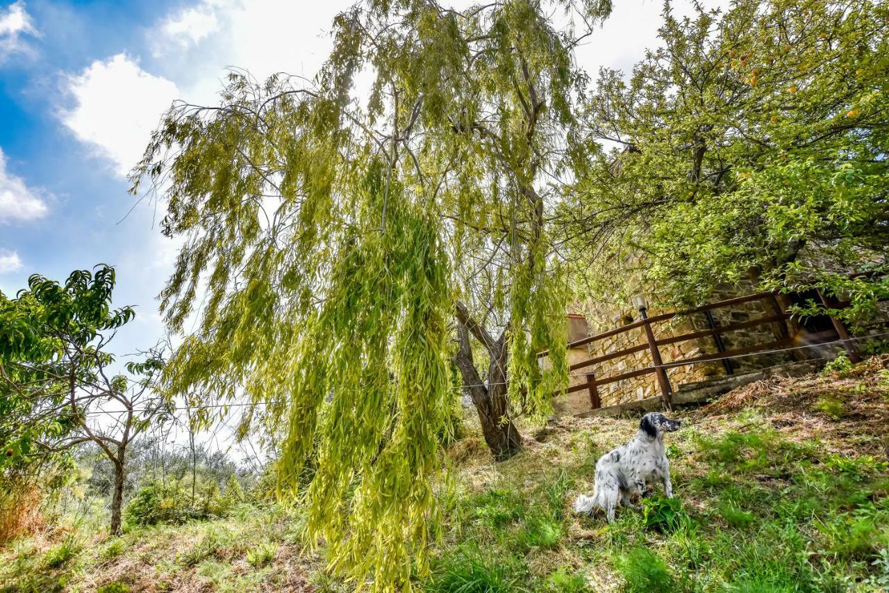 Casale San Martino Laureana Cilento Exterior foto